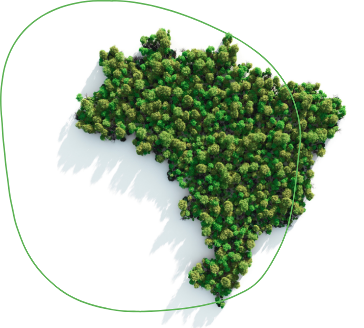 Oportunidades para o Brasil em mercados de carbono