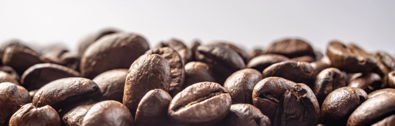 Análise de custo de produção de café: principais indicadores técnicos e econômicos